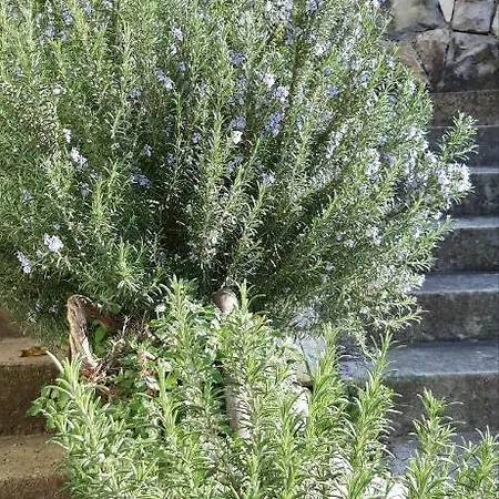 Appartement Sponga *