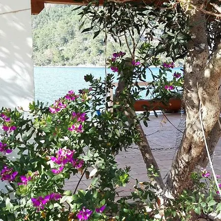 Apartamento Sponga